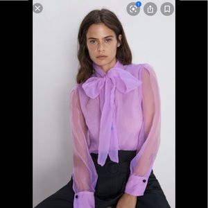 Zara Sheer Lavender Blouse